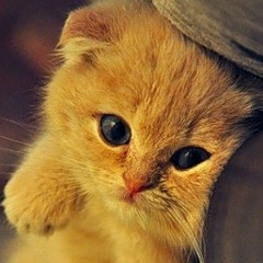 Евгения Клепникова, 11.05, Балашиха