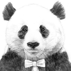 Кирилл Штефан, 03.12.1987, Караганда