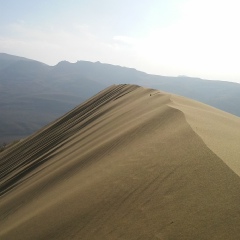 Камиль Меджидов, 16.06.1989, Махачкала