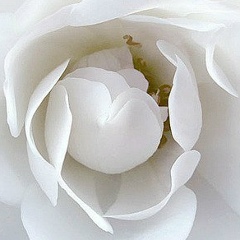 Зарина Адилова, 07.07.1987, Павлодар