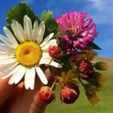 Айдана Карабаева, Астана