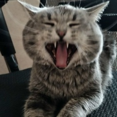 Денис Николаевич, 07.11.1989