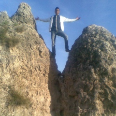 Halim Cj, Alger