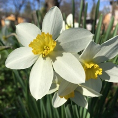 Алёна Новикова, 17.11, Москва
