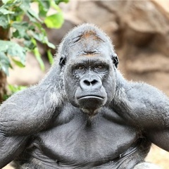 Анатолий Шурупов, 30.05.1981, Нижневартовск