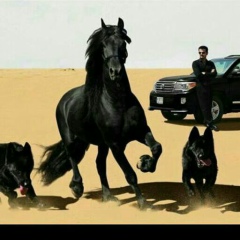 Odilbek Abdilazizov, 25.09, Шымкент