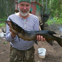 Алексей Соколов, 18.01.1959, Санкт-Петербург
