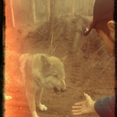 Muso Saytazhiev, 05.02, Санкт-Петербург