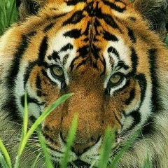 Владимир Флорьянов, 26.03, Москва