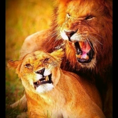 Сергей Сергеев, Санкт-Петербург