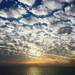 Роман Петрович, Одесса