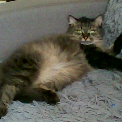 Андрей Киванов, 29.09.1974, Казань