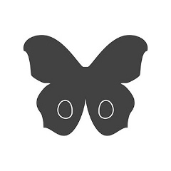 Азиз Matists, Алматы