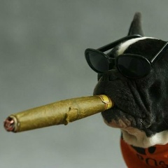 Дулат Калтыбай, 17.11.1984, Астана