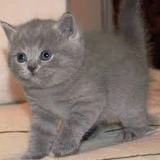 Ирина Иванова, 19.04, Черкассы