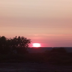 Дмитрий Севастьянов