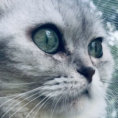 Михаил Щелоков, Удельная