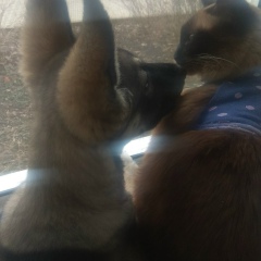 Любовь Сашнина, 12.06.1979, Гатчина