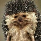 Муля Женисса, 23.08.1987