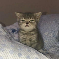 Ernur Xanov, 30.09.2000, Павлодар