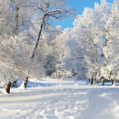 Arthur Reinhardt, 12.07.1987, São Carlos