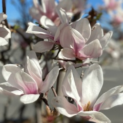 Анастасия Больцман, 22.12, Ростов-на-Дону