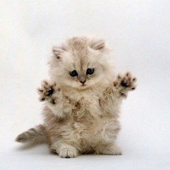 Businka Leopoldovna, 02.04, Montreux