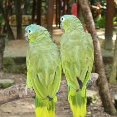 Анна Цховребова, 08.02, Москва