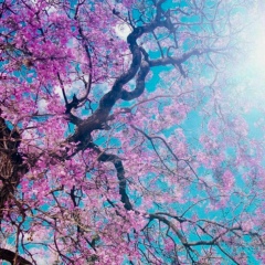 Виктория Бодрая, 03.08, Санкт-Петербург