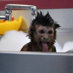 Никита Герасимов, 02.04.1992, Москва