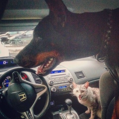 Uncle Perry, 06.04, Москва