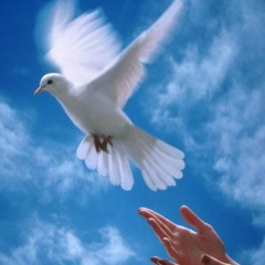 Андрей Калашников, 16.02.1980, Кривой Рог