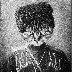Насурдин Телекаев, Махачкала