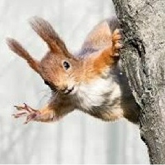 Реми Белкин, 12.07.2000