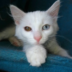 Евгений Пустовалов, 07.12