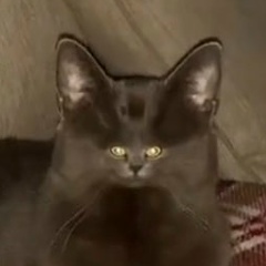 Дмитрий Такмаков, 02.01.1988, Екатеринбург