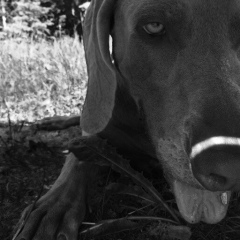 Петр Герасимов, 06.09.1984, Санкт-Петербург