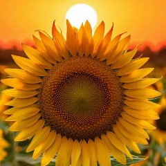 Павел Ольховиков, 30.07