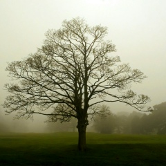 Ернар Кайратулы, 04.06, Алматы