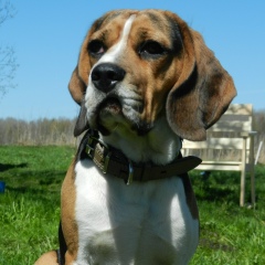 Андрей Малышев, 20.12.1983, Санкт-Петербург