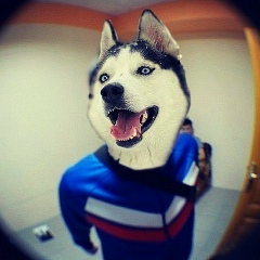 Серега Татарченко, 22.05