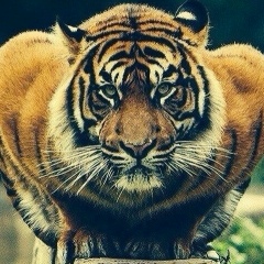 Иван Иванов, 11.08, Махачкала