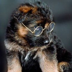 Денис Гридзь, 10.02, Киев