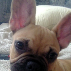 Костя Купреев, 25.02, Санкт-Петербург