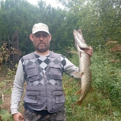 Николай Тяпичев, Москва