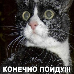 Игорь Янукович, 27.07.1985, Луганск