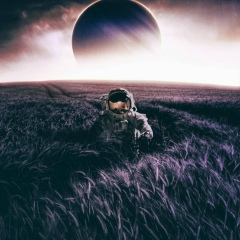 Алексей Суханов, Санкт-Петербург