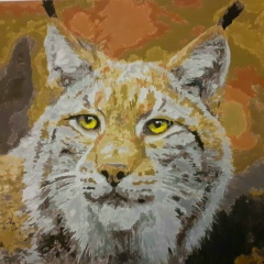 Светлана Макаренкова, 29.07, Санкт-Петербург