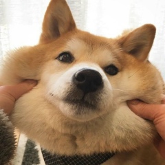 Кристина Фролова, 28.03