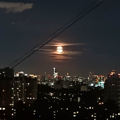 Мария Павлова, Москва